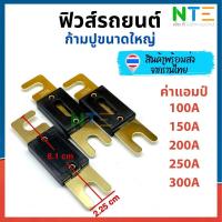 ราคา ฟิวส์รถยนต์ ก้ามปู ขนาดใหญ่ 100A 150A 200A 250A 300A (19749618342)