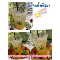 ราคา โมเดลน้ำกัญชา ขนาดแก้ว16 ออนซ์ ราคาดังกล่าวเป็นราคาเฉพาะโมเดลเครื่องดื่ม (15180318348)