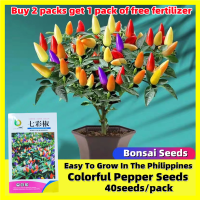 ราคา เมล็ดบอนสี เมล็ดพันธุ์พริก7สี เมล็ดพริกสีรุ้ง Bonsai Rainbow Chili Pepper Seeds 40เมล็ด พริกประดับเจ็ดสี เมล็ดพันธุ์ เมล็ดพันธุ์พืช เมล็ดพันธุ์ผัก เมล็ดผัก เม็ดผัก ผักสวนครัว Pepper Vegetable Plants พ