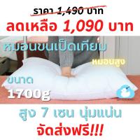 ราคา หมอนขนเป็ดเทียมขนาด 1700g Lazy Duck Heaven (14452956753)