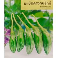 ราคา เมล็ดพันธุ์ มะเขือ มะระ มะเขือเทศ ทุกชนิด เมล็ดผักสวนครัว เมล็ดมะเขือ มะระขี้นก มะระจีน มะเขือเปราะ มะเขือพวง มะเขือยาว (20962571892)