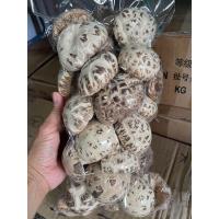 ราคา เห็ดหอมญี่ปุ่น 500กรัม เนื้อหนาพิเศษ เห็ดหอมนำเข้า (10542634044)