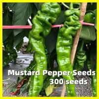 ราคา พริก เมล็ดพันธุ์ Screw Pepper Seeds ผลผลิตสูง บรรจุ 300 เมล็ด คุณภาพดี ราคาถูก ของแท้ 100 Chilli Pepper Seeds for Planting Pepper Vegetable Seeds Hot Pepper Plants เมล็ดพันธุ์พริก เมล็ดพันธุ์ พริกใหญ่