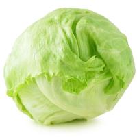 ราคา 50 เมล็ด เมล็ดผัก ผักสลัด ไอซ์เบิร์ก ผักกาดแก้ว Iceberg Lettuce สวนครัว เหมาะแก่การทำสวน ระยะเก็บเกี่ยวเร็ว Fruit and Vegetable Seeds (21288417033)