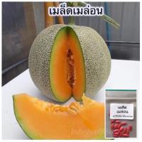 ราคา เมล็ดพันธุ์ เมล่อน เมล่อนญี่ปุ่นโมมิจิแตงเมล่อน เนื้อส้ม 12 เมล็ด 10 แถม 1 คละได้ (20767862930)