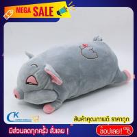ราคา nongfocus 0160 ตุ๊กตาหมอนผ้าห่ม หมูน้อย หนูน้อย แนวอินดี้ วินเทจ (6563150659)