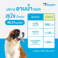 ราคา E Voucher Thonglor Pet Care Shower Bath Grooming For Dogs ทองหล่อเพ็ทแคร์ บริการอาบน้ำ ตัดเล็บ เช็ดหู แปรงขน สำหรับสุนัข (15659025610)
