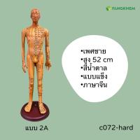 ราคา หุ่นจำลองจุดฝังเข็ม ขนาด 52 54 62cm หุ่นจำลองฝังเข็มได้ งานละเอียดพิเศษ Acupuncture Model By Fangkhem (20813476386)