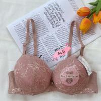 ราคา เสื้อใน sister hood 909 ฟองน้ำหนาดูมๆใน3วิ ดูมจริงเนินต้องชัด แซ่บและหนาที่สุด คัพA (16451712986)