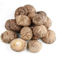 ราคา Chinese Dried Mushroom 4 5cm Glossy Mushroom Fujina Winter Dried Shiitake 250g (20907701244)