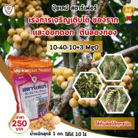 ราคา ปุ๋ยเร่งรากลองกอง ปุ๋ยเร่งดอกลองกอง สูตร 10 40 10 3 MgO ปุ๋ยฉีดพ่นทางใบ ต้นลองกอง โดย สตาร์เฟอร์ ใช้ได้กับพืชทุกชนิด (20484217111)