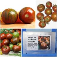 ราคา เมล็ดพันธุ์ มะเขือเทศ ม้าลายดำ Black Zebra Tomato Seed 20 เมล็ด คุณภาพดี ราคาถูก ของแท้ (7624773903)