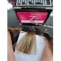 ราคา Loreal Richesse de Diacolor 50ml Loreal diaactivator 50ml ลอรีอัล ริชเชส เดอ ไดอาคัลเล่อร์ ครีมเคลือบเส้นผมถนอมเส้นผม ช่วยพรางผมขาว ปราศจากแอมโมเนีย ระบุสี (19457350987)