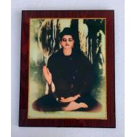 ราคา กรอบวิทยศาสตร์ภาพพระพุทธเจ้า สินค้ามีลิขสิทธิ์ห้ามลอกเลียนแบบ ขนาดรวมกรอบ10X12นิ้ว มีหูแขวน มีขาตั้งได้ (1292516709)