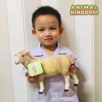 ราคา Animal Kingdom โมเดล Sheep แกะ ขนาด 27 00 CM แบบนิ่ม จากสงขลา (16840584959)