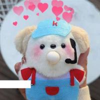 ราคา Sanhez กระเป๋าหมาน้อยแมคโดนัลด์ทำด้วยมือแบบทำมือทำจากวัสดุทำด้วยตนเองกระเป๋า Squeaks Spits ตุ๊กตาผ้ากำมะหยี่ฟอง (20348119728)