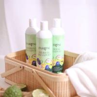 ราคา แฟรี่ปาย เฮอร์เบิล แชมพู FAIRYPAI HERBAL SHAMPOO ขนาด 300 ml (16519829689)