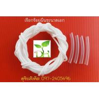 ราคา เชือกร้อยผืนระนาด เลือกซื้อได้ทั้งเชือกร้อยผืนระนาดเอกและระนาดทุ้ม (10208191789)
