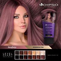ราคา ดิ๊ฟโซ่ แว๊กซ์เปลี่ยนสีผม 150 มล Dipso Hair Color Wax แว็กสี เคลือบสี เคลือบเงา (19365207116)