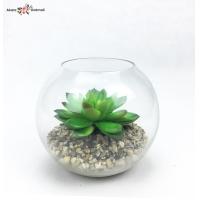 ราคา สวนโหลแก้ว กุหลาบหินปลอมในโหลแก้ว กระถางแคคตัส (3580930001)