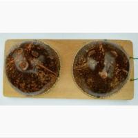 ราคา กะลามะพร้าว นวดฝ่าเท้าแก้เมื่อย ใหญ่ บริการเก็บเงินปลายทาง สำหรับคุณ (16215657654)