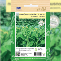 ราคา เมล็ดพันธุ์ กวางตุ้งดอกต้นเขียว ปิ่นมรกต ตราเจียไต๋ (19722912705)