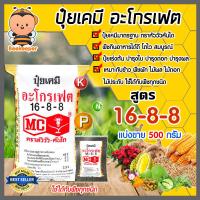 ราคา มีให้เลือก แบ่งขาย 100 700 กรัม ปุ๋ยเคมี สูตร 16 8 8 ตราหัววัว คันไถ เป็นปุ๋ยใช้ใส่รองพื้น ก่อนเพาะปลูก หรือใส่ในระยะแรกของการเพาะปลูกพืช (10728740823)