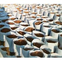 ราคา ถุงผ้าปลูกเมล่อน กระสอบผ้าปลูกกัญชา ถุงผ้าปลูกผักสลัด กระถางผ้า 5 7 8 9 10 gallon กระถางเพาะชำ กระถางผ้าปลูกกัญชา ถุงปลูกกัญชา Grow Bag Fabric Pot (14223033744)