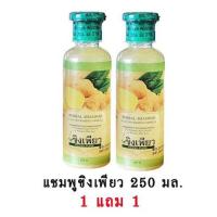 ราคา แชมพูขิงเพียว 250ml ซื้อ1 แถม1 ขวดกลม (8720079089)