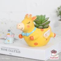 ราคา กระถางเรซิน สัตว์น้อยอ้วนกลม ไม้อวบน้ำ กุหลาบหิน cactus succulent หลากหลายสายพันธุ์ (4526620458)