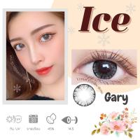 ราคา คอนแทคเลนส์ Ice Gray Brown ยี่ห้อ Gaezz Secret ค่าสายตาปกติ 1000 คล้ายรุ่น Holla Tommy Shimmer (19657677627)