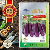 ราคา เมล็ดพันธุ์ มะเขือม่วงพารวย 0 5กรัม (19262136280)