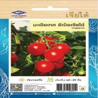 ราคา เมล็ดพันธุ์ มะเขือเทศ เจียไต๋ ตราเครื่องบิน F 1 Hybrid ผักสวนครัว เมล็ดผัก เมล็ดพันธุ์พืช เมล็ดพันธุ์ผัก เมล็ดผลไม้ มะเขือเทศสีดา AK (12268790293)