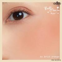ราคา บลัชออน odbo140 Beauty Session Blusher (12497320322)
