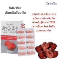 ราคา ส่งฟรีทั้งร้าน เห็ดหลินจือสกัด ชนิดแคปซูล เสริมอาหารเห็ดหลินจือสีแดง สายพันธ์ Ganoderma Lucidium Giffarine Ling Zhi Extract Capsule Dietary Supplement 30 capsules (12266344052)