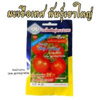 ราคา เมล็ดพันธุ์ มะเขือเทศ เขาใหญ่ 20 เมล็ด พันธุ์มะเขือเทศ มะเขือเทศเขาใหญ่ มะเขือเทศลูกท้อ (15834749461)