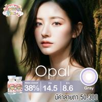 ราคา คอนแทคเลนส์ รุ่น Opal สีเทา ตาล Gray Brown มีค่าสายตา 0 00 3 00 (20582057950)