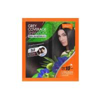 ราคา LOLANE GREY COVERAGE SHAMPOO โลแลน แชมพูปิดผมขาว 30มล (19796136275)