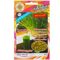 ราคา เมล็ดพันธุ์ ข้าวสาลี ตราสี่ทิศ (20879864655)