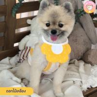 ราคา ผ้าพันคอกันเปื้อนสัตว์เลี้ยง ปลอกคอแมว ปลอกคอสุนัข ลายการ์ตูนน่ารัก C025 (19527211704)