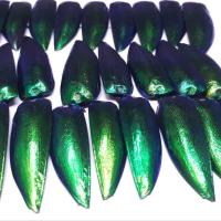 ราคา ปีก แมลง ทับ แมงทับ สำหรับ เครื่องประดับ ศิลปะ งานฝีมือ คัดพิเศษชิ้นต่อชิ้น (887108529)