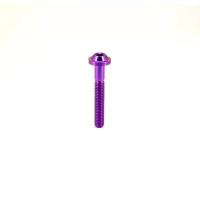 ราคา สลักเกลียวไทเทเนียม M5 M6 X 10 30มม หัวสกรูร่ม Torx สำหรับจักรยานจักรยานยนต์เบรกที่ได้รับการปรับแต่งแผ่นยึด GR5ไทเทเนียมบินผีเสื้อภายใน Torx (21147473095)