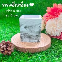 ราคา กระถางปูน กระถางลายหินอ่อน กระถางแคคตัส งานแฮนด์เมด (20611032697)