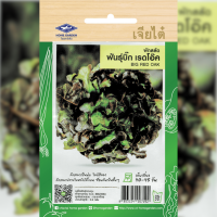 ราคา เมล็ดพันธ์ุ ผักสลัด บิ๊ก เรดโอ๊ค ตราเจียไต๋ (19493095106)