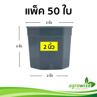 ราคา กระถางกระบองเพชร กระถางต้นไม้ กระถางแคคตัส สีเทา กระบองเพชร 2 นิ้ว กระถาง 8 เหลี่ยม 50 ใบ (17872289622)