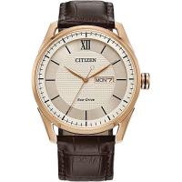 ราคา Citizen Eco Drive Classic Mens Watch Stainless Steel Brown Strap Ivory Dial (18241561471)