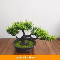 ราคา ต้นบอนไซเทียม พร้อมกระถาง ต้นไม้มงคล ต้นไม้ตกแต่งบ้าน ต้นบอนไซเทียม ตกแต่งสวน ต้นไม้ปลอม ต้นไม้ประดิษฐ์ (20139379192)