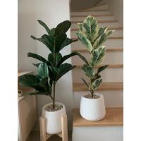 ราคา ถูกที่สุด ต้นไม้ปลอม ต้นไทรใบสัก สูง 70 พร้อมกระถางดำ ราคาดีที่สุดในlazada ต้นไทรใบสักปลอม ต้นไม้เสมือนจริง (10584977425)