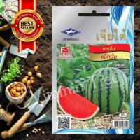 ราคา เมล็ดพันธุ์ แตง โมแม็กนั่ม 15เมล็ด WATERMELON SEED เจียไต๋ (19262059889)