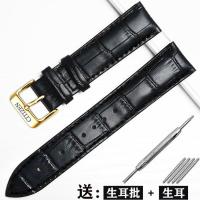 ราคา Citizen Leather Watch With Pin Buckle For Men And Women Light Kinetic Energy Small Blue Needle Butterfly Buckle Strap 20 22 23Mm OCT (20570437395)